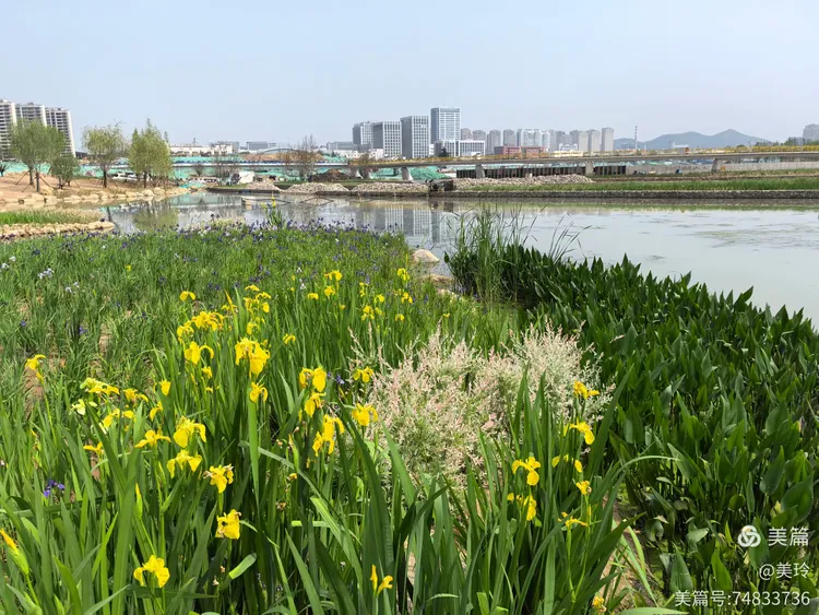 张村河生态公园